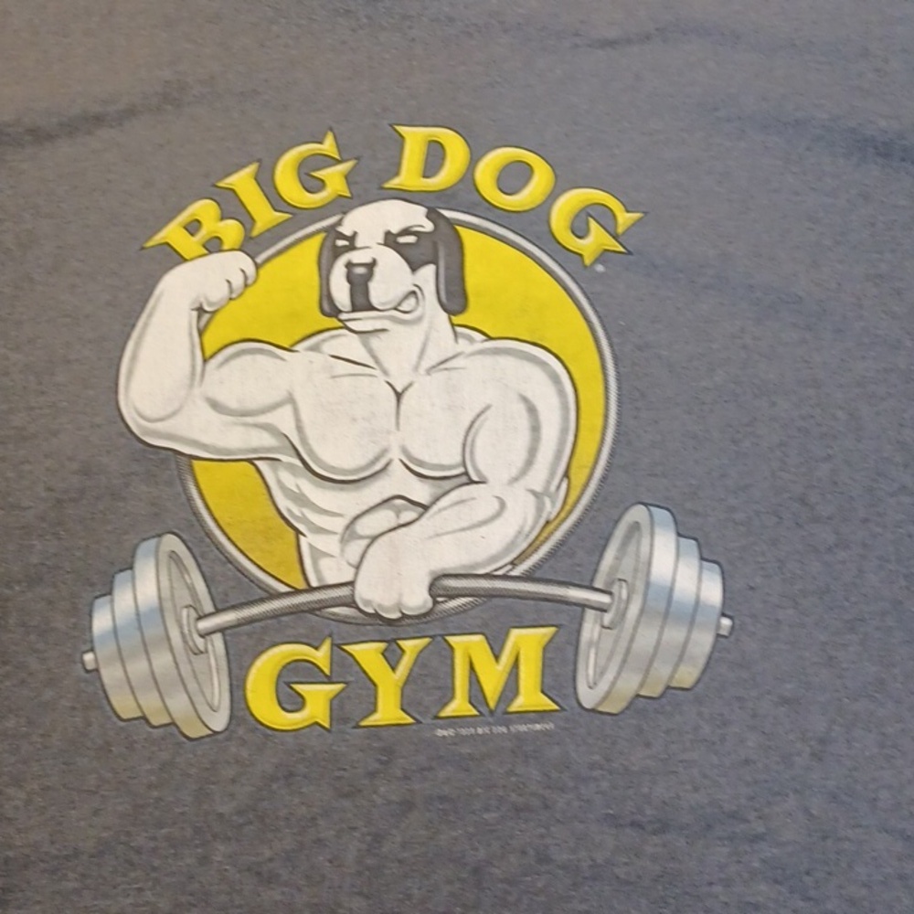 Vintage big dog tee shirt men's size 3XLARGE gray from 1998